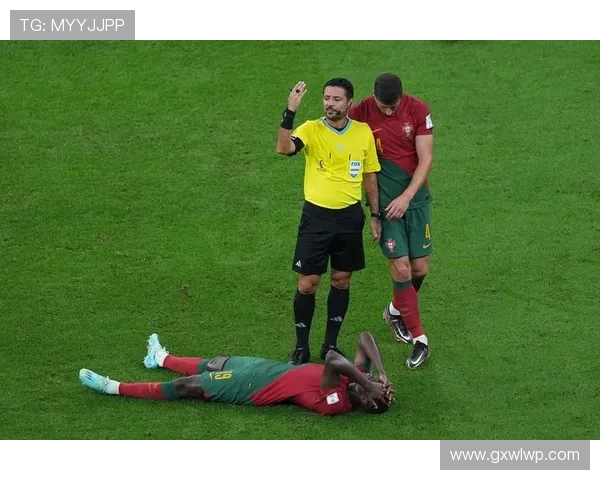 ✅体育直播🏆世界杯直播🏀NBA直播⚽- 台湾“兰花”成都扎根记- sports